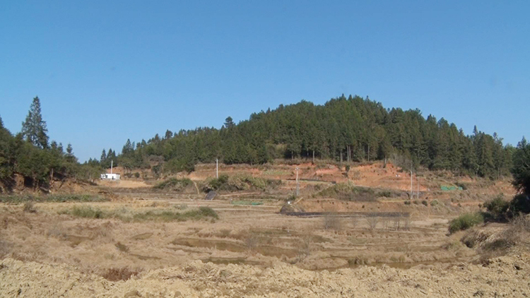 陈 杨公堂.JPG