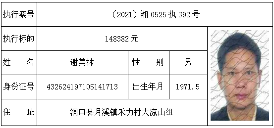 洞口县人民法院发布2021年第四期失信被执行人名单