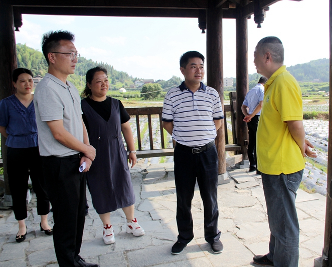 胡东声调研坪坦2.JPG