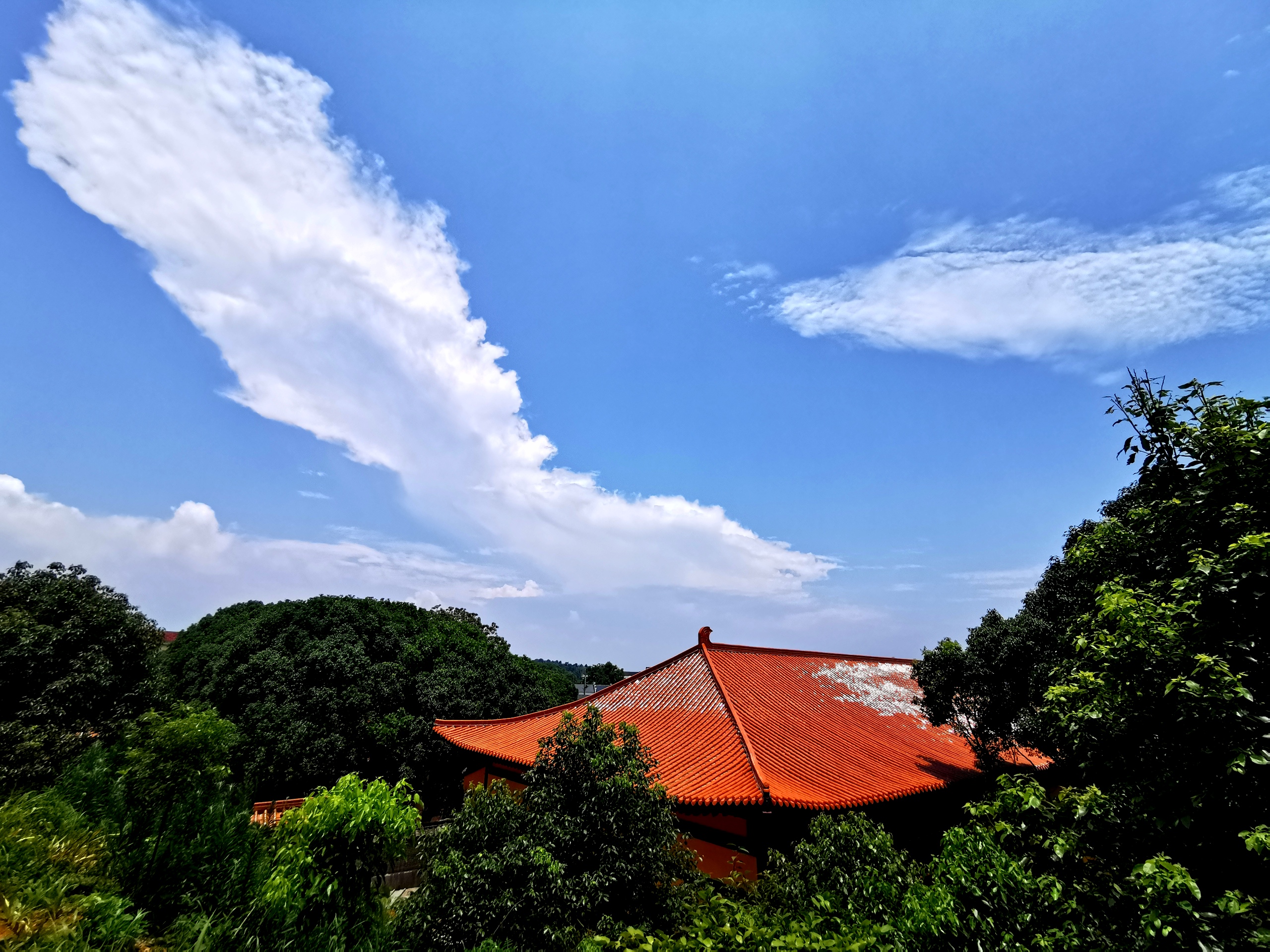 湖南省民宗系统干部近两百人考察岳阳圣安寺