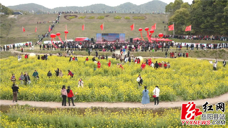 油菜花节.JPG