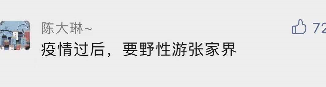 张家界封园，55万网友隔空表白：“国际张”大格局！我欠你一张门票