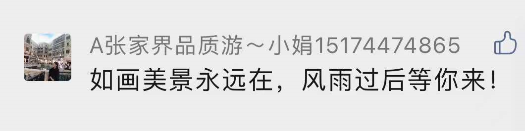 张家界封园，55万网友隔空表白：“国际张”大格局！我欠你一张门票