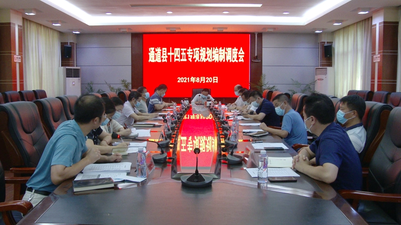 我县召开十四五专项规划编制调度会002.JPG