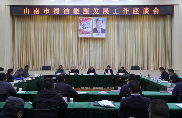 我市召开清洁能源产业发展工作座谈会.JPG