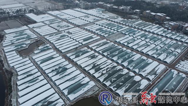 w_DJI_0262.JPG