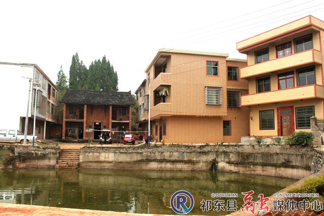 w_IMG_7992.JPG