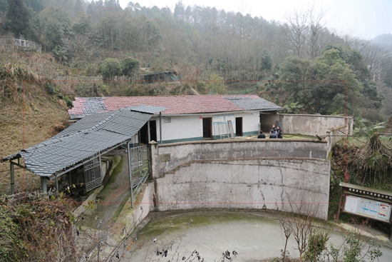 G11A2618.JPG