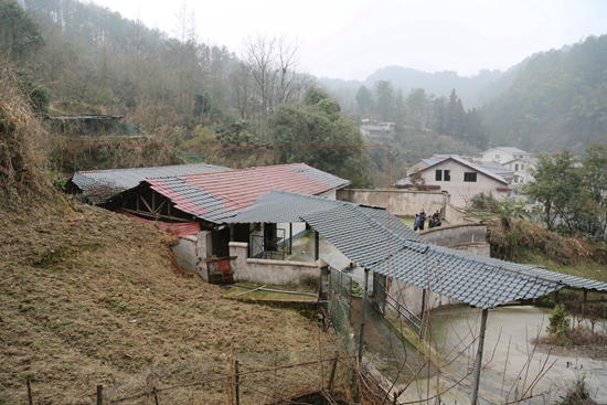 G11A2619.JPG