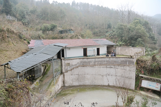 G11A2618.JPG