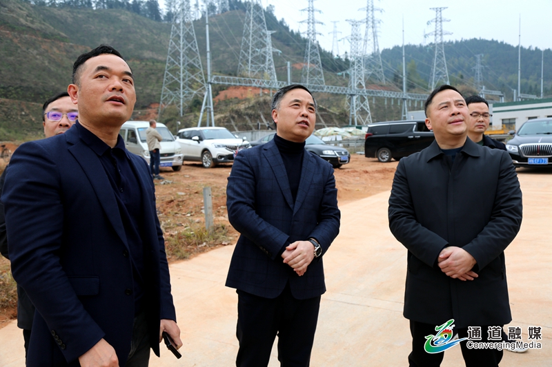 毛书记调研指导储能项目建设2.JPG