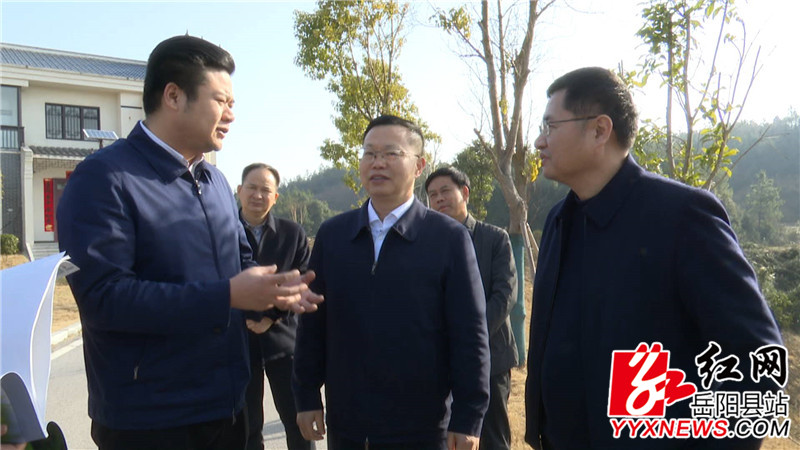 陈阁辉一行查看龙湾村集中建房点.JPG