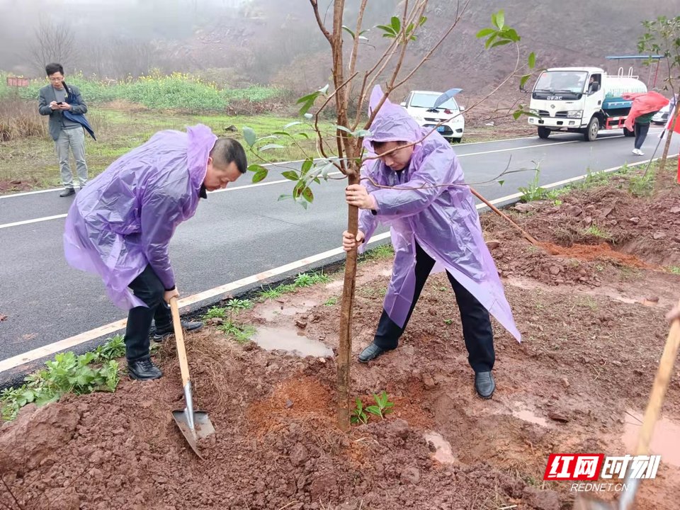 争当生态文明传播者 雁峰城管组织开展义务植树活动