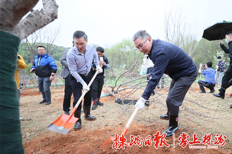 【3.17】曹慧泉陈恢清等市领导义务植树.jpg