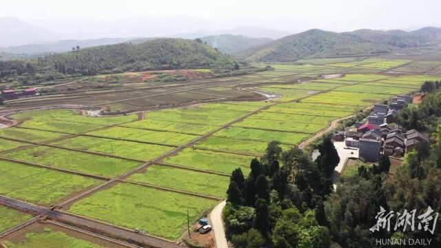 湖南日报头版头条丨一桌“郴州饭” 味道几多好 ——看郴州如何推动农业产业高质量发展