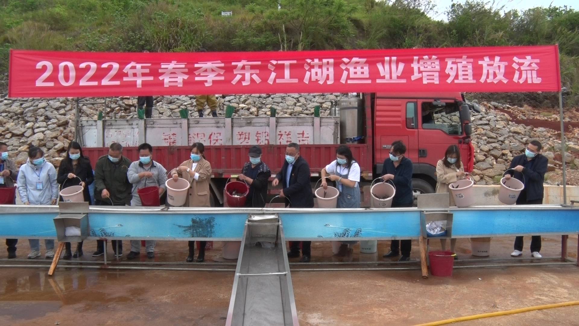 魚1.JPG