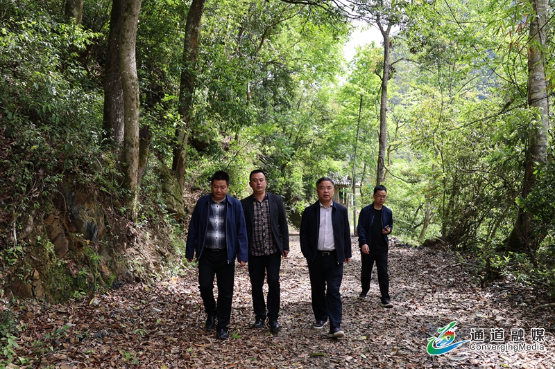 毛运鸿督导万佛山镇当前重点工作+(1).JPG