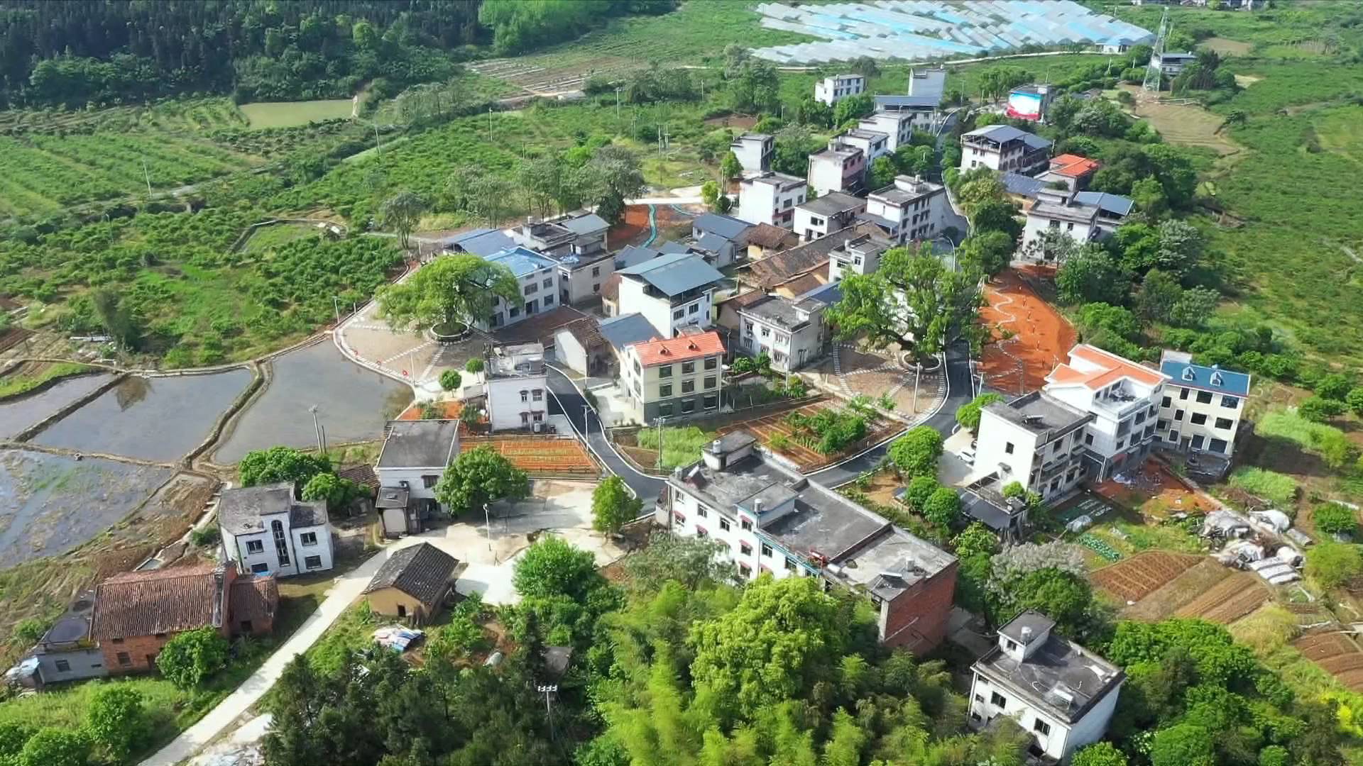 神背1.JPG