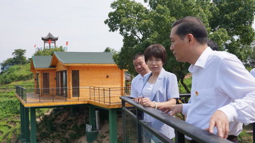 刘丽华调研政协 (1).JPG