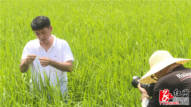 采访组在田间拍摄.JPG