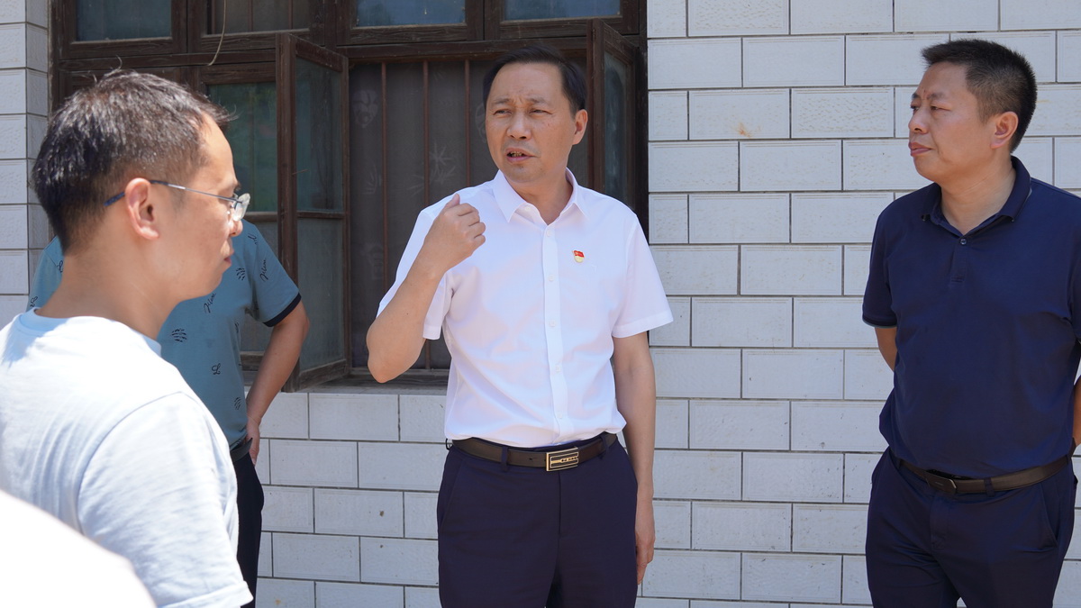 戴新贤调研自建房安全专项整治及城乡治理标准化工作 (1).JPG