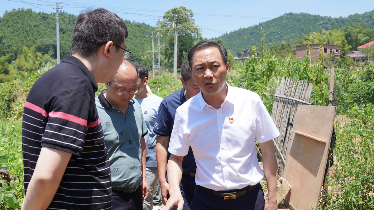 戴新贤调研自建房安全专项整治及城乡治理标准化工作 (2).JPG
