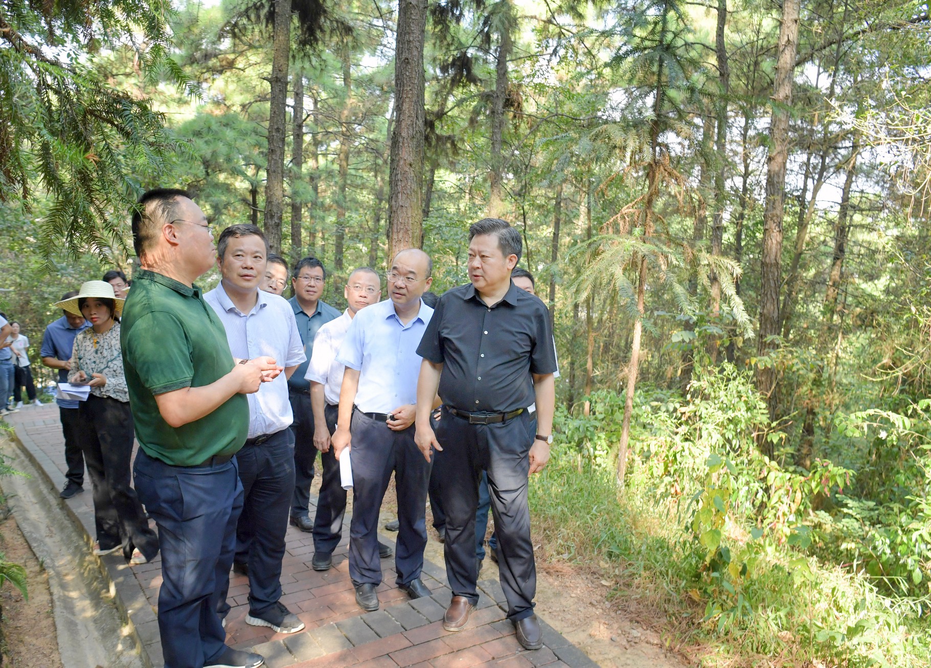 河口鎮蓮託村,涓水卓江堤白米段和易俗河鎮金霞山實地調研