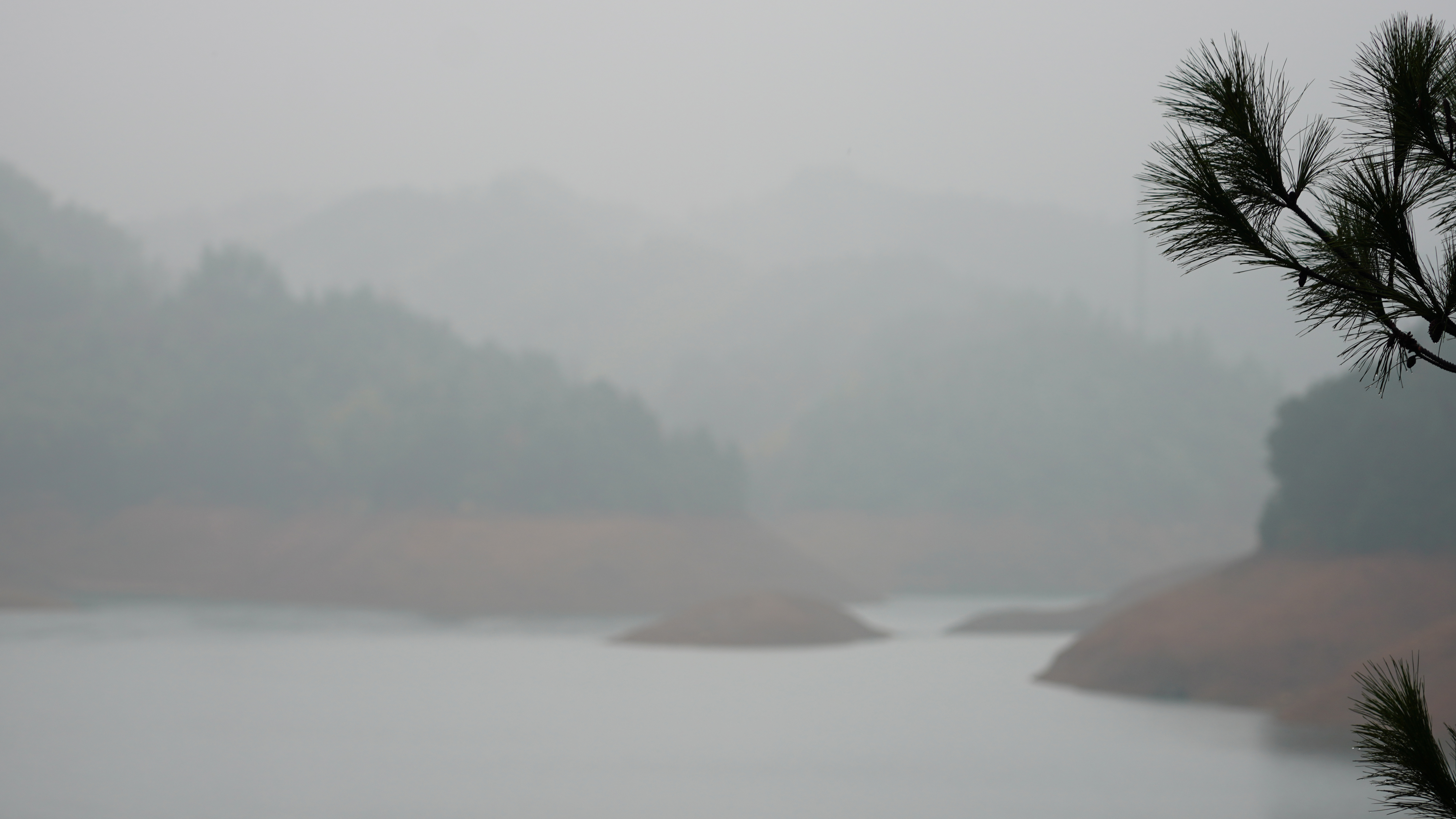 DSC01442.JPG