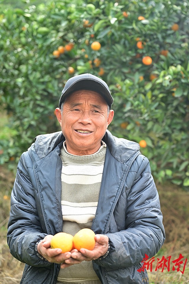 拼多多“暖冬行动”进侗乡，爱心助农销柑橘