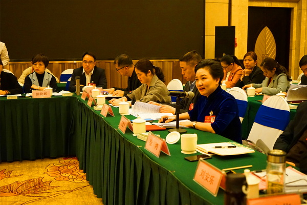 王建平代表在省人大会议上为发展家庭教育事业建言献策。.JPG