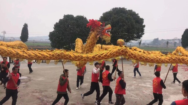 新春走郴州丨宜章县晓夏街村：大年初一舞龙贺新年