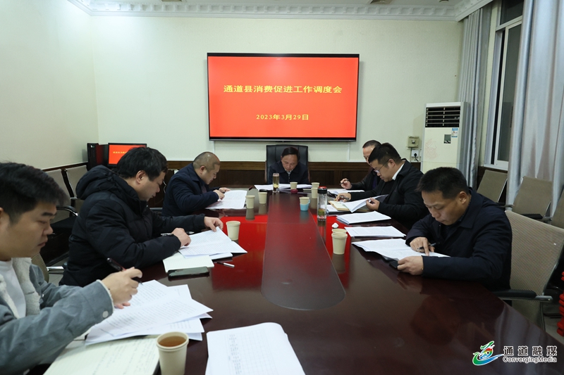 全县消费促进工作调度会召开2+(2).JPG