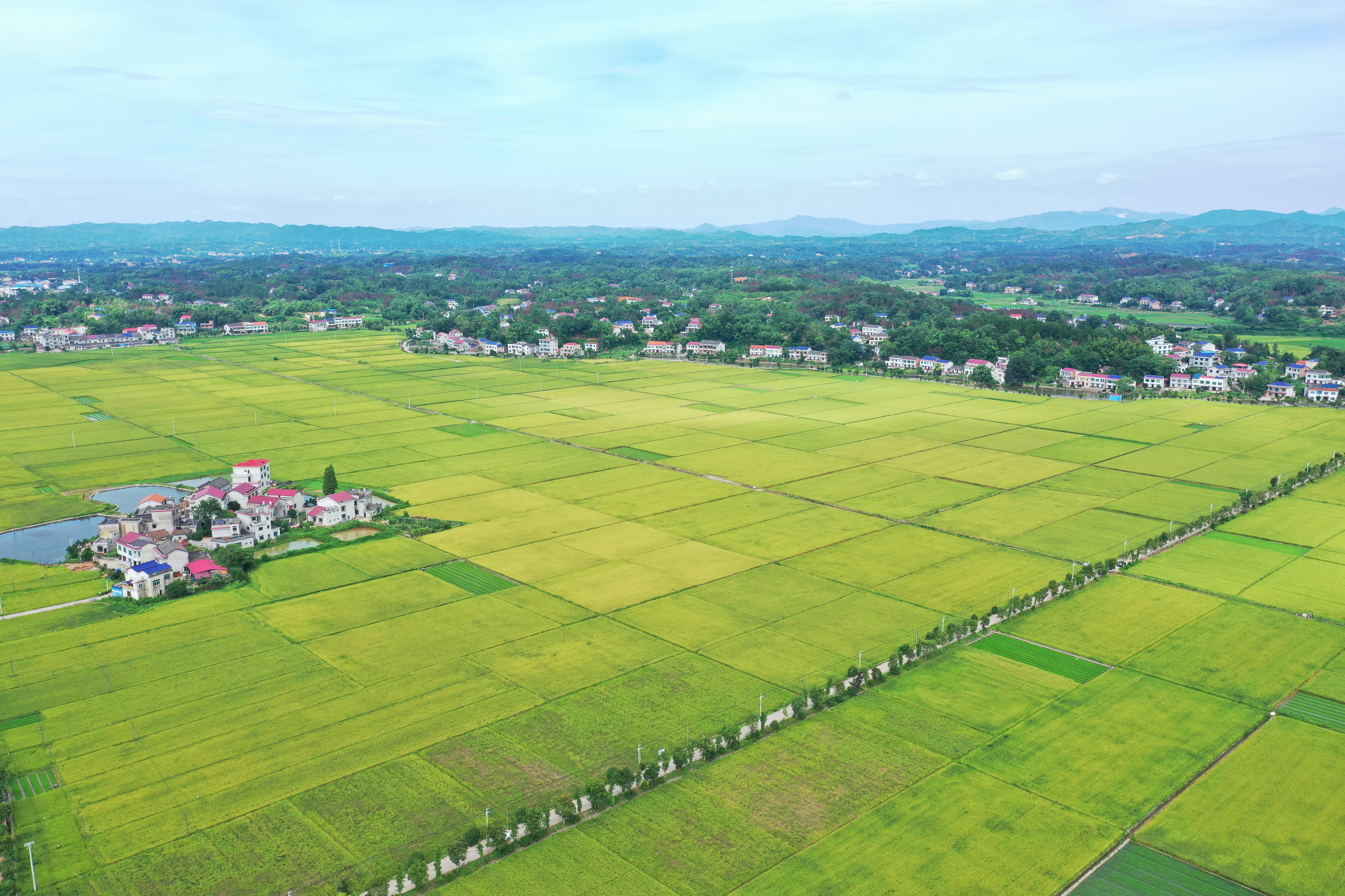 DJI_0715.JPG