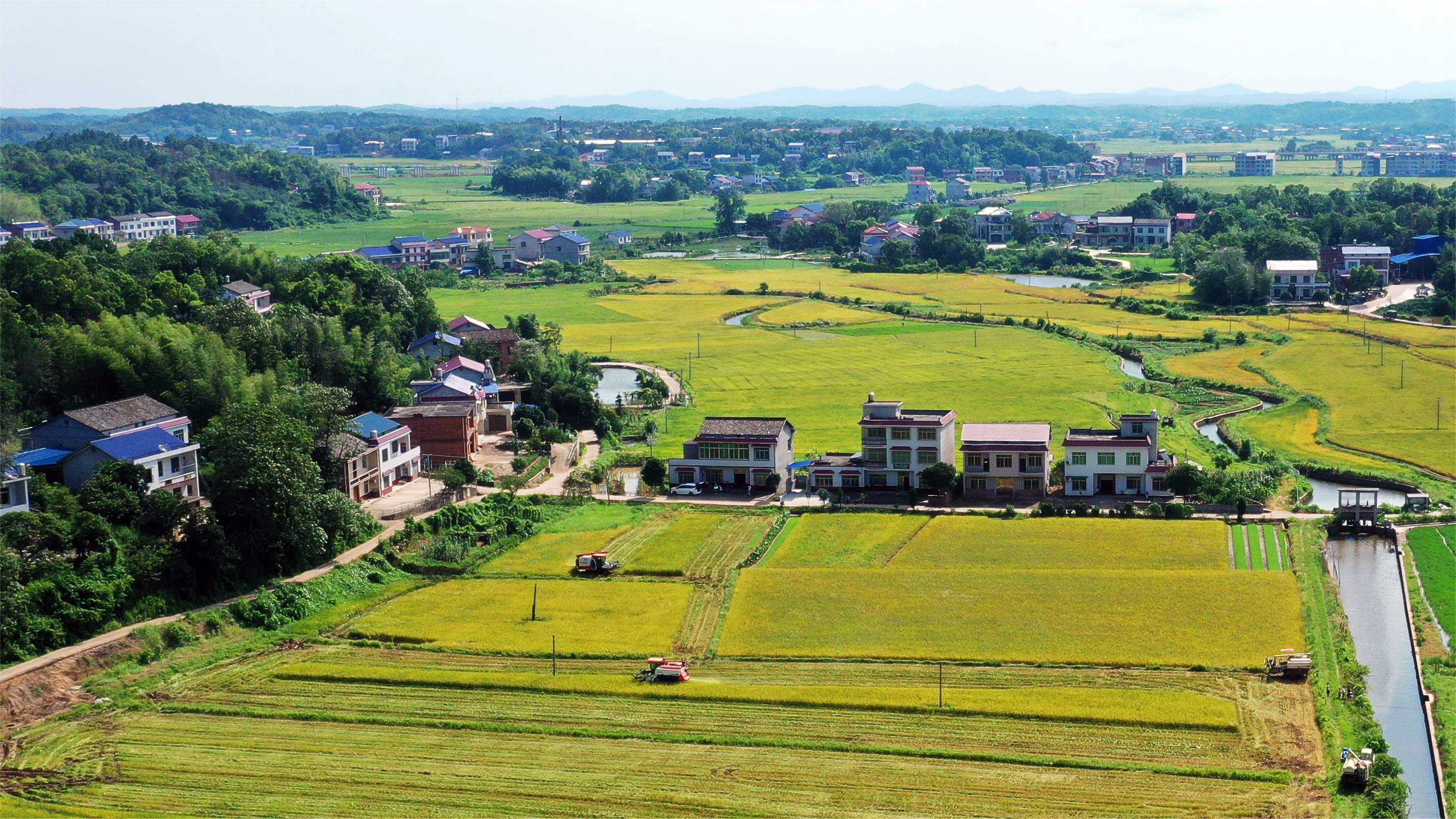 DJI_0784 (2).JPG