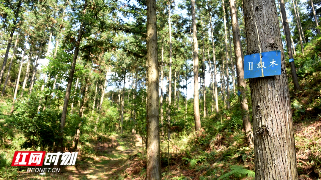 DSC_0703.JPG