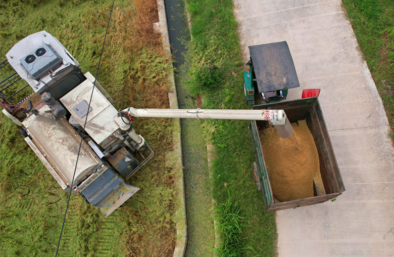 收获。人民网记者 刘宾摄