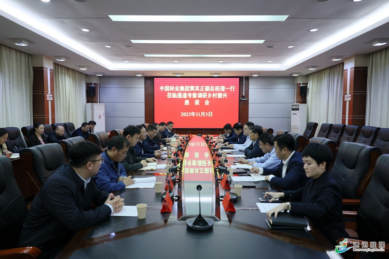 中林集团副总经理黄其正一行来我县考察调研乡村振兴工作1.JPG