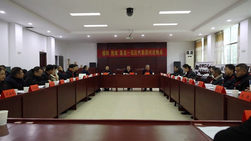 人大分组讨论+龙章义+播阳独坡县直一选区.JPG