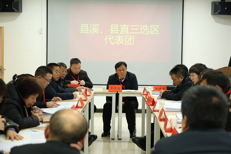 人大分组讨论+李万志++县溪+县直三选区+(1).JPG