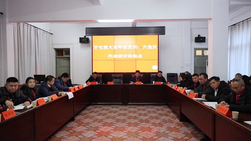 人大分组讨论+李信+牙屯堡大高坪+县直四六选区.JPG