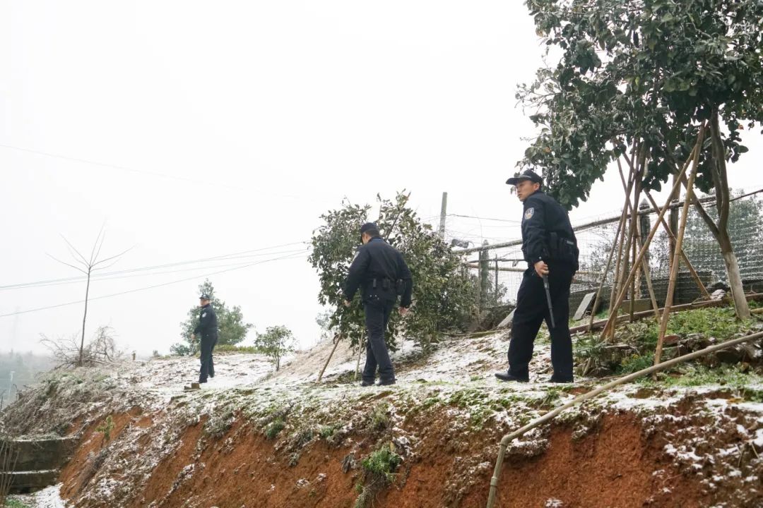 0度執行路240萬網友火熱圍觀