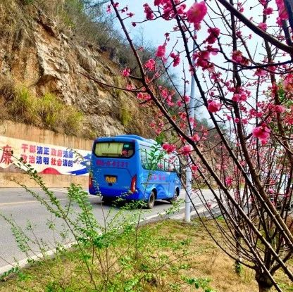 早樱报春！湖南公路这些美景不容错过