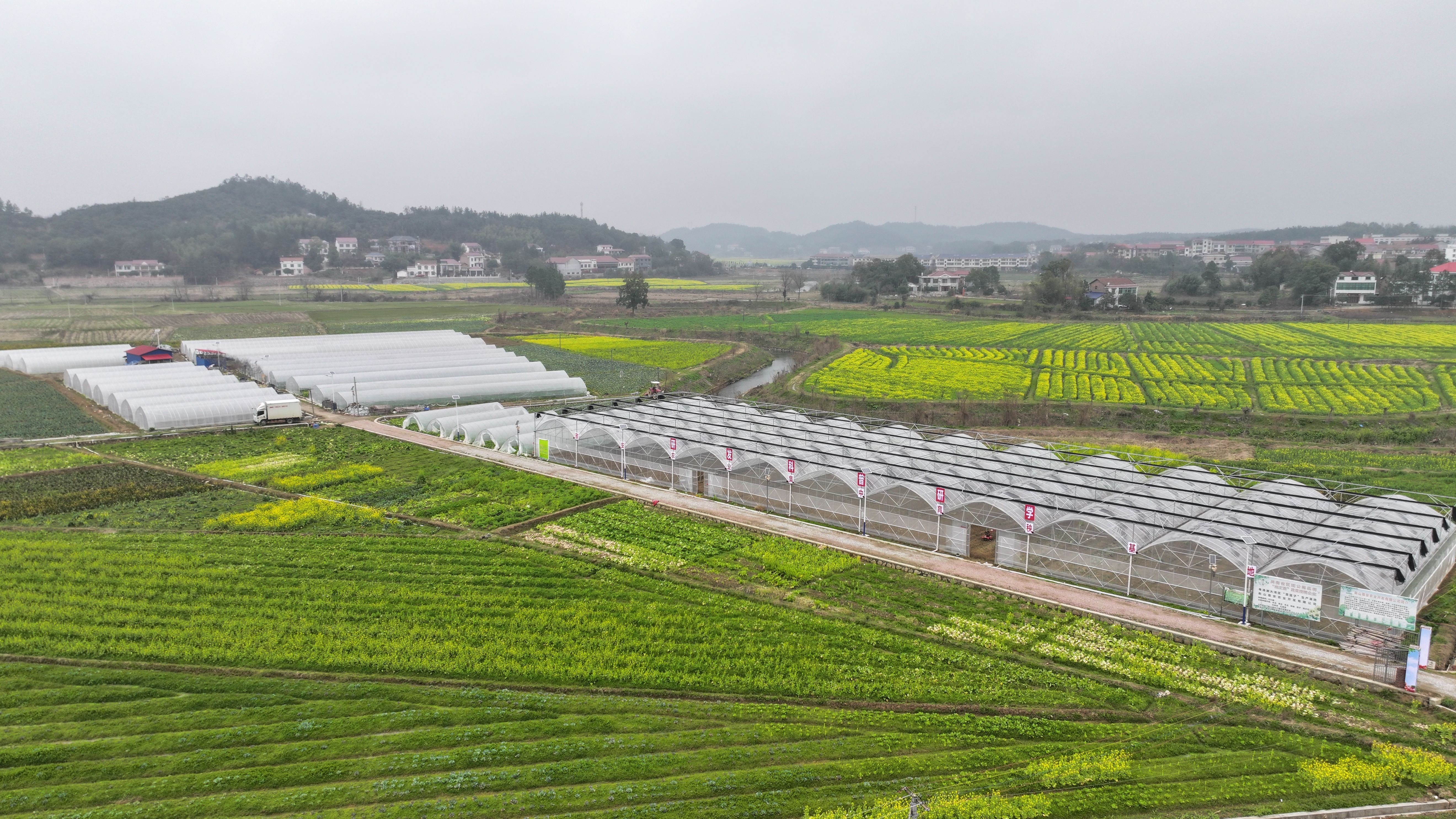 DJI_20240305120344_0080_D.JPG