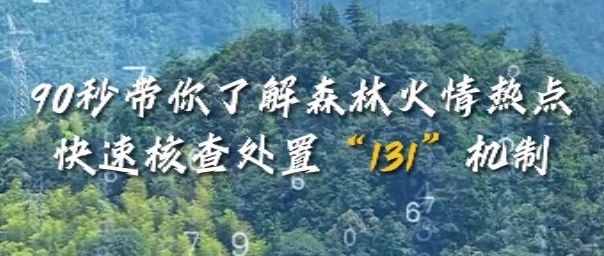 90秒带你了解森林火情热点快速核查处置“131”机制