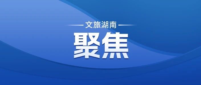 2024年“五一”假期国内旅游出游2.95亿人次