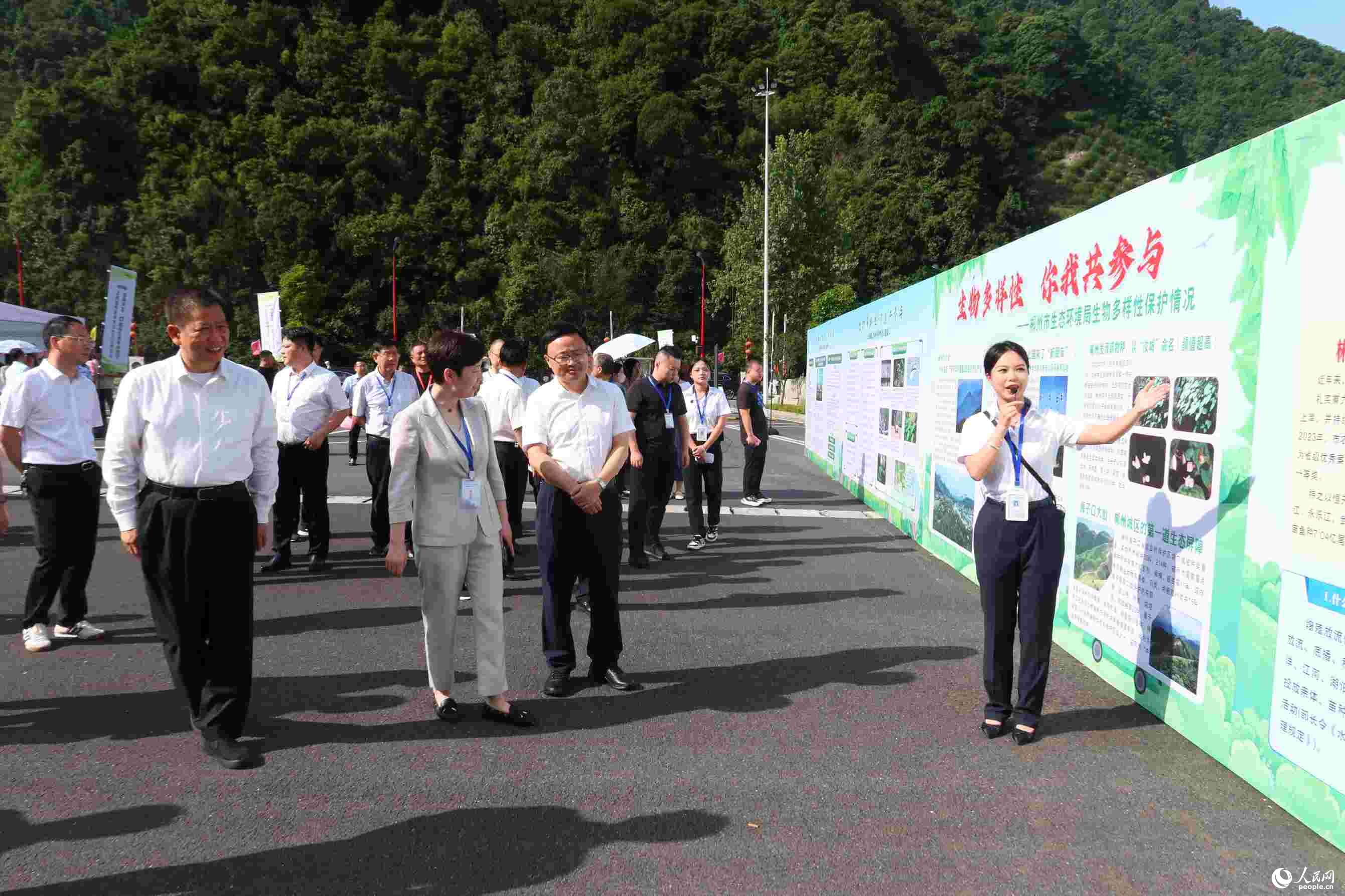 生物多样性展板。实习生张艺朵摄