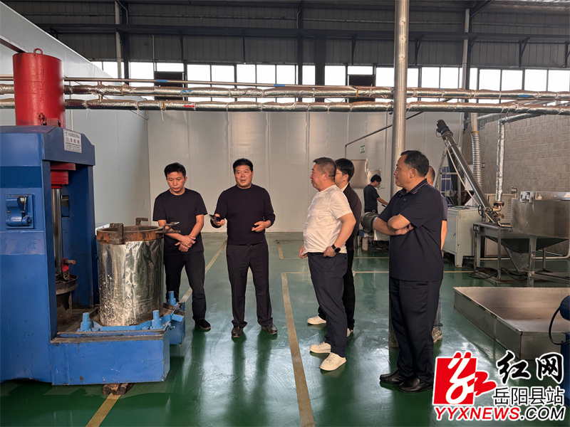 实地察看油茶生产车间.JPG