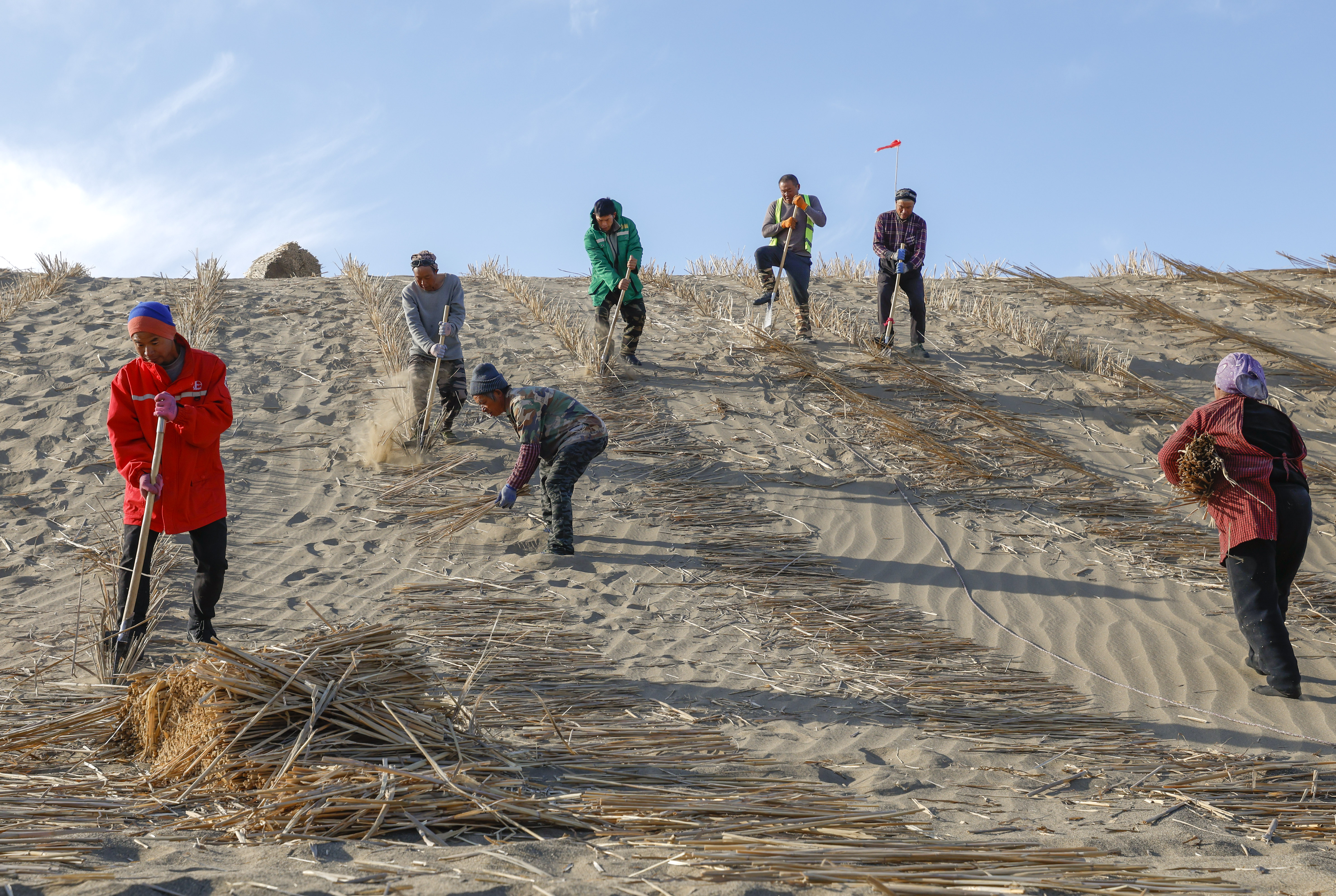 Workers make straw checkerboards on sandy land in Minfeng County, northwest China's Xinjiang Uygur Autonomous Region, Dec. 3, 2024. (Xinhua/Wang Fei)