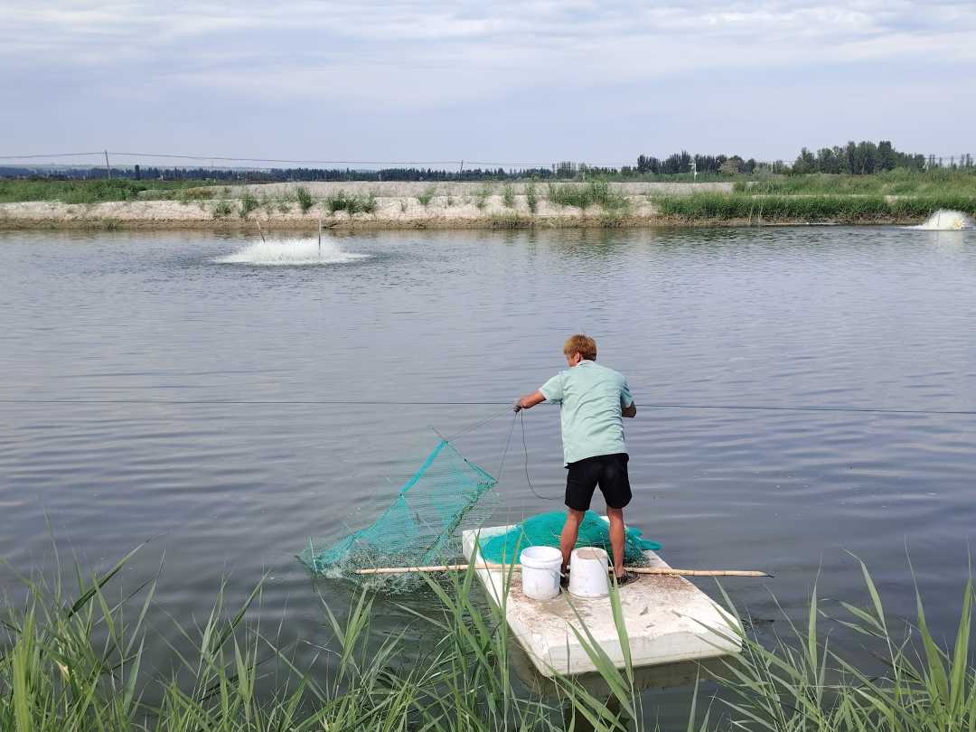 通过控制水和促进水来查看新疆|水驱动业务释放