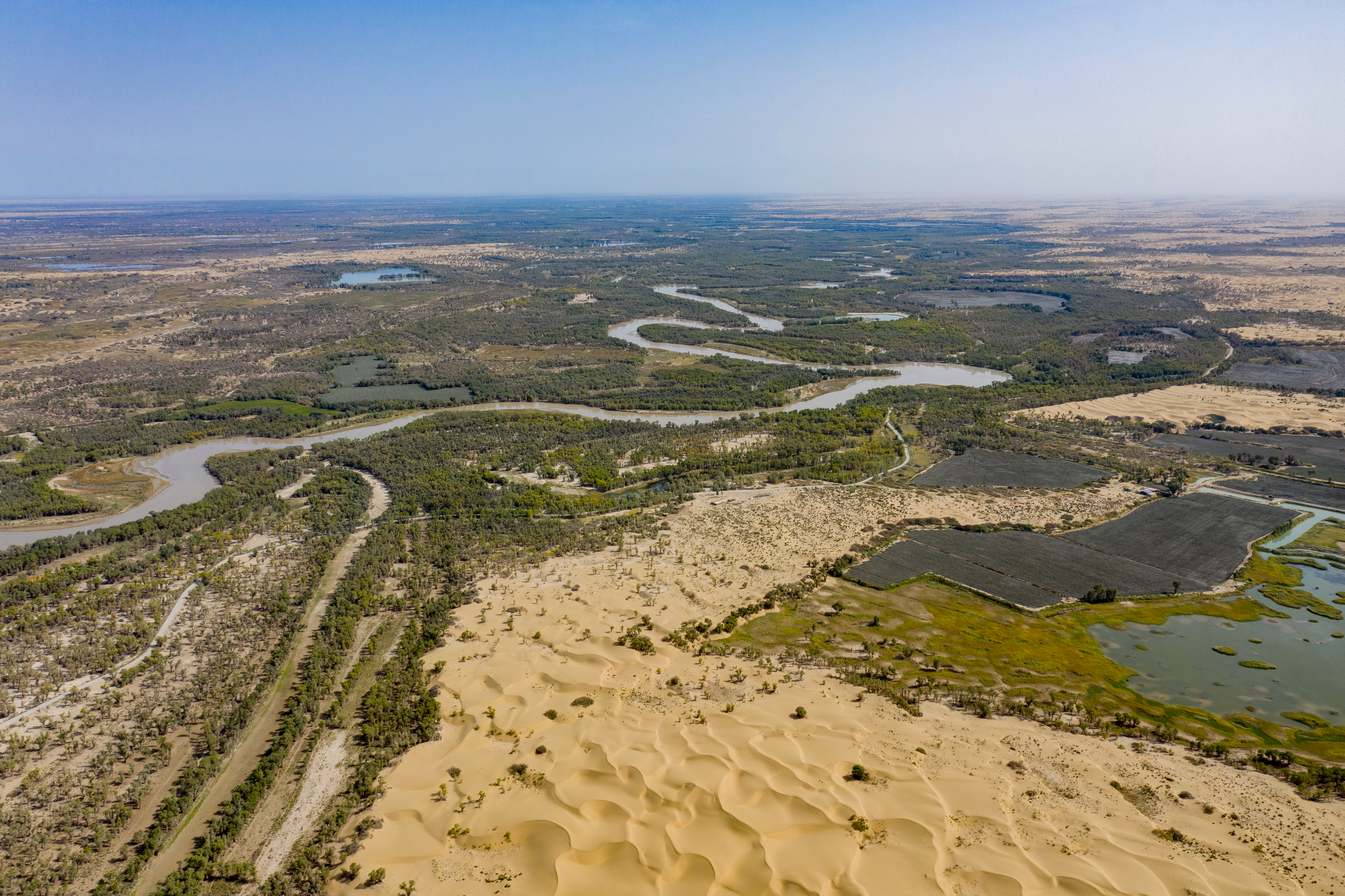 新疆已经70多年了，在沙海中新绿色：移动生态水